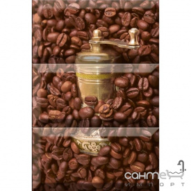 Плитка керамическая декор Absolut Keramika Coffe Beans Composition 01 30x20