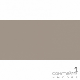 Плитка настінна 20x40 RAKO Color One Beige-grey Поліестер RAL 0607010 WAAMB302
