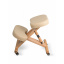 Ортопедический стул для детей US MEDICA Zero Mini Бежевый Стрий