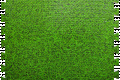 Модульне покриття для підлоги 600x600x10 мм зелена трава