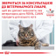 Сухой корм для взрослых кошек Royal Canin Urinary S/O Cat 9 кг (3182550785242) (3901009) Одеса