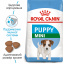 Сухой корм для щенков мелких пород Royal Canin Puppy Mini до 10 месяцев 8 кг (3182550793049) (91433) (30000801) Чернигов