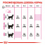 Сухой корм для кошек Royal Canin Exigent Savour 1 кг (На развес) (3182550721660) (2531100) Павлоград