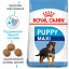 Сухой корм для щенков крупных пород Royal Canin Maxi Puppy до 15 месяцев 15 кг (11423) (0262558402167) Бородянка