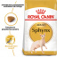 Сухой корм для взрослых кошек Royal Canin Sphynx Adult 10 кг (3182550758857) (2556100) Одеса