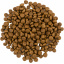 Сухой корм для кошек Savory со свежим мясом индейки и уткой 8 кг (4820232630068) Хмельницкий