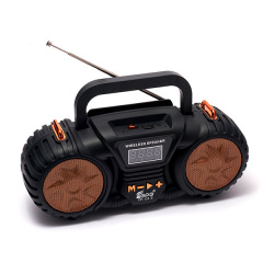 Портативное FM-радио EPE FP-131-S с USB/TF/MP3 Музыкальный плеер Аккумуляторный с солнечной панелью Черный c золотом KNS18-97 Житомир