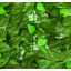 Декоративное зеленое покрытие Engard Молодая листва 100х300 см (GC-03) Ужгород