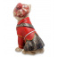 Статуэтка Собака Орейли 39,5 см Noble AL45857 Суми