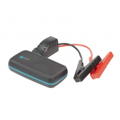 Автономное пуско-зарядное устройство Ring RPPL300 (13 Ач, 12 В, старт 600 А) с USB (5 В / 2,1 А) Винница