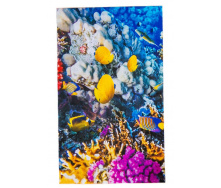 Обігрівач-картина інфрачервоний настінний Trio 400W 100 х 57 см кораловий риф