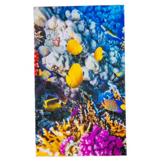 Обогреватель-картина инфракрасный настенный Trio 400W 100 х 57 см коралловый риф