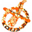 Набор игрушек Aqua Speed DIVE TOYS SET 6527 (152-75) Уни Оранжевый (5908217665270) Черкаси
