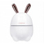 Увлажнитель воздуха и ночник 2в1 Humidifiers Rabbit Сумы