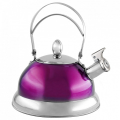 Чайник со свистком Lora Фиолетовый H11-012 3000ml Ровно