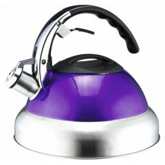 Чайник со свистком Lora Фиолетовый H11-004 3000ml Ровно