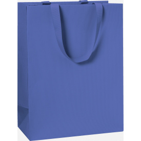 Пакет подарочный Stewo 25 х 13 х 33 cm темно-синий 10 шт