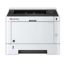 Принтер Kyocera Ecosys P2040dn (1102RX3NL0) (6569983)
