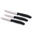 Набор кухонных овощных ножей Victorinox Swiss Classic Paring Set 3 шт Черный (6.7113.3) Черкаси