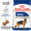Сухой корм Royal Canin Maxi Adult для собак крупных пород 4 кг (3182550402224) Чернигов
