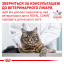 Сухой корм для взрослых кошек Royal Canin Gastro Intestinal Cat 2 кг (3182550771252) (39050201) Тернопіль
