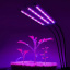 Фитолампа светодиодная для растений Plant GrowLight-3 с таймером черная Петрово