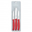 Набор кухонных овощных ножей Victorinox Swiss Classic Paring Set 3 шт Красный (6.7111.3) Київ