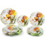 Набор Bona 6 стеклянных тарелок Букет тюльпанов диаметр 30см подставные тарелки DP40049 Кропивницький