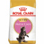 Сухой корм для котят Royal Canin Mainecoon Kitten 2 кг (3182550816502) (2558020) Іршава