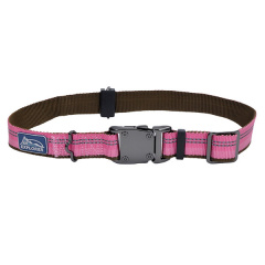 Светоотражающий ошейник для собак Coastal K9 Explorer Collar 2.5х46-66см розовый (76484369414) Полтава