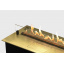 Автоматичний біокамін на пульті керування Gloss Fire Dalex Gold 1000 Дніпрорудне