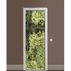Наклейка на дверь Zatarga «Лохматый куст» 650х2000 мм виниловая 3Д наклейка декор самоклеящаяся Пологи