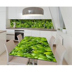 Наклейка 3Д виниловая на стол Zatarga «Лавровые ветви» 600х1200 мм для домов, квартир, столов, кофейн, кафе Винница
