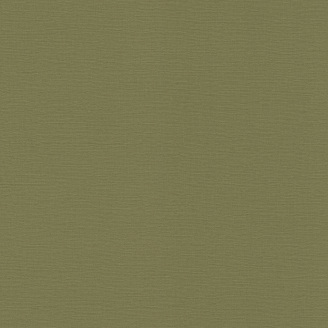 Виниловые обои на флизелиновой основе Rasch Salsa 452068 Зеленый