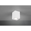 Точковий світильник TRIO BISCUIT (613000131) Херсон