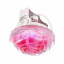 Декоративный точечный светильник Brille 20W HDL-G14 Красный 163835 Хмельницький