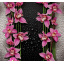 Фотообои Ника Малиновые орхидеи (12 лист.) 196*210 Кременчуг