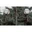 Уличный фонарь Brille 60W GL-04 Черный 2 источника света Киев