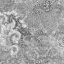 Вінілові шпалери на флізеліновій основі Yuanlong Graziella 29027 Сірий (29027) Кропивницький