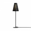 Настольная лампа Nowodvorski 8077 TRIFLE BLACK BL/G Луцьк