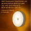 Бездротовий світильник з Датчиком Руху YIIOT на Акумуляторі Три Методи Кріплення IIL (566) Кропивницький