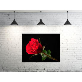 Картина на холсте ProfART S4560-c925 60 x 45 см Роза (hub_ReVz47077)