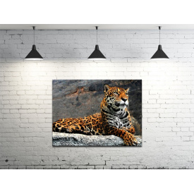 Картина на холсте ProfART S4560-z649 60 x 45 см Леопард (hub_eskO52009)
