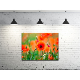 Картина на холсте ProfART S4560-c979 60 x 45 см Цветы (hub_sxsc47667)