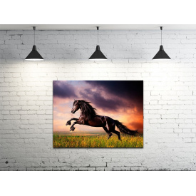 Картина на холсте ProfART S4560-z439 60 x 45 см Лошадь (hub_zhPF56744)