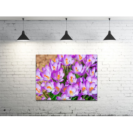 Картина на холсте ProfART S4560-c950 60 x 45 см Цветы (hub_ZFwy68229)