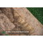 Шпон корень Орех Американский 0,6 мм - Singl Херсон