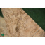 Шпон корень Ясень Оливковый 0,6 мм - Logs Полтава