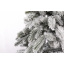 Ялина лита «Ковалевська» Ялинки від білки 2,3 м Засніжена (3128) Боярка