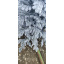 Искусственная новогодняя литая ель Happy New Year Венская 210 см Заснеженная Херсон